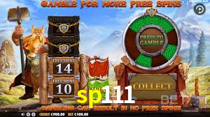 sp111.com
